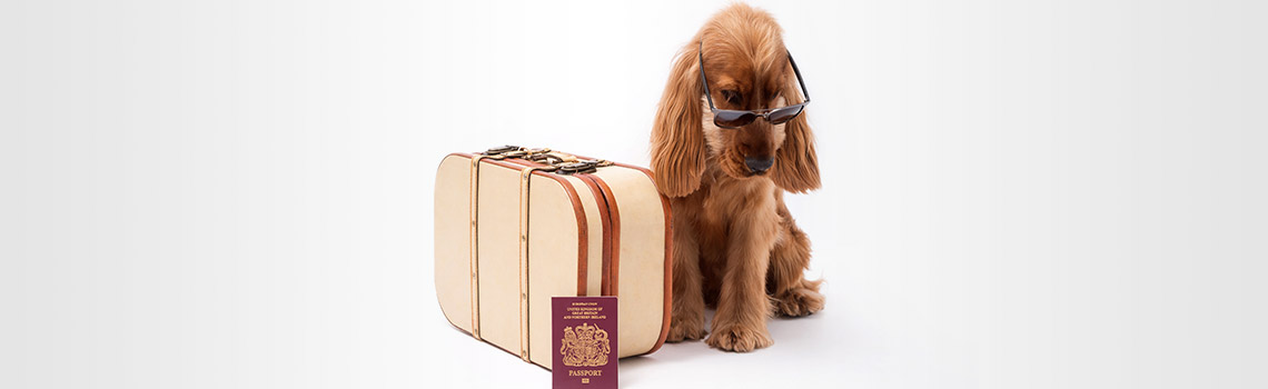 What  is a pet passport and does my pet need it?