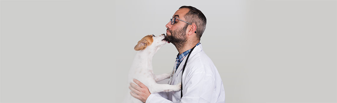 Why  it is mandatory to visit a vet before pet travel