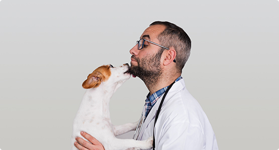 Why it is mandatory to visit a vet before pet travel